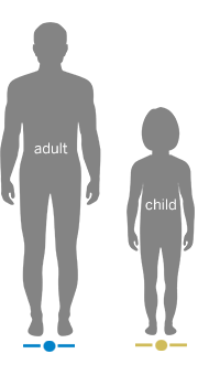 Image of Adult and Child Body